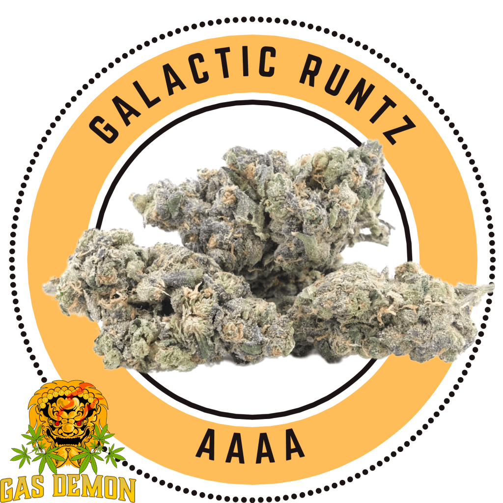 Buy Galatic Runtz Indica Dominant Hybrid By Gas Demon Online In