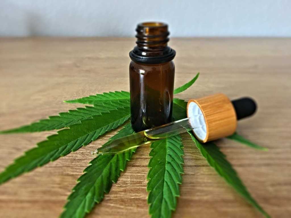 CBD vs. THC – which cannabinoid is better for you?