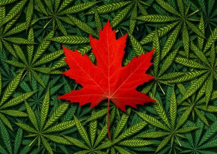 Canadian Cannabis Laws