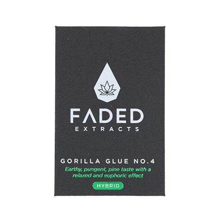 FADED EXTRACT SHATTERS Gorilla Glue No. 4