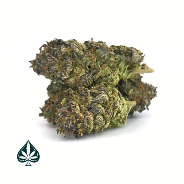 Buy THIN MINT GIRLS SCOUT COOKIES - HYBRID (AAA+)