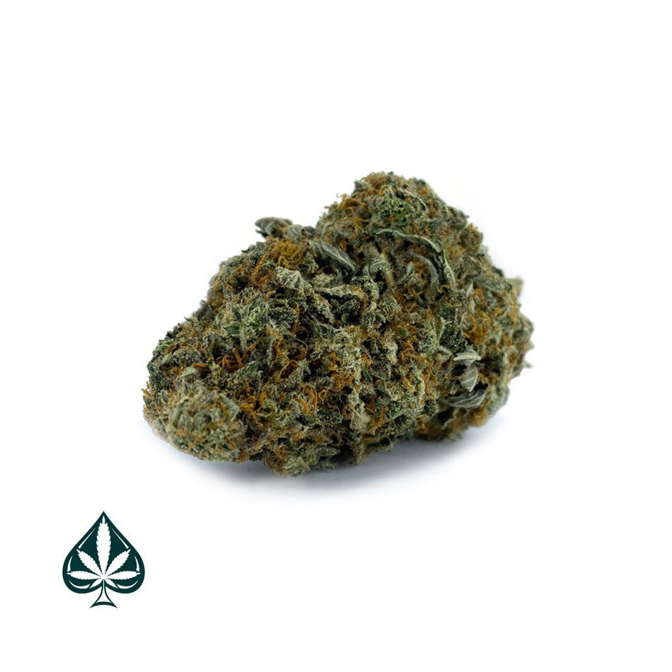 ACE OF SPADES - INDICA DOMINANT HYBRID (AAA+)