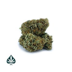 ACE OF SPADES - INDICA DOMINANT HYBRID (AAA+)