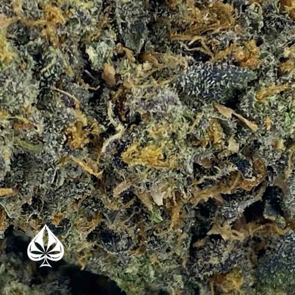 Buy Mike Tyson Craft By Gas Demon - Indica (AAAA)