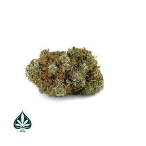Buy STRAWBERRY CHEESECAKE CRAFT BY GAS DEMON - INDICA DOMINANT HYBRID (AAAA)