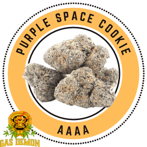 purplespacecookie gdaaaa