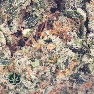 Buy GIRL'S SCOUT COOKIES Craft By Gas Demon- INDICA DOMINANT HYBRID (AAAA)