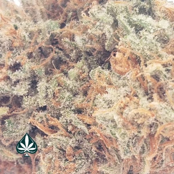 Buy Strawberry Afghan by Gas Demon - Indica Dominant Hybrid - AAAA