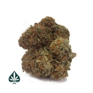 Buy Strawberry Afghan by Gas Demon - Indica Dominant Hybrid - AAAA