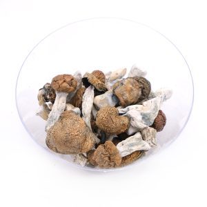 Blue Meanies Magic Mushrooms 1