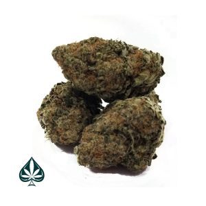 Girl's Scout Cookies Smalls- Indica Dominant Hybrid - AAAA