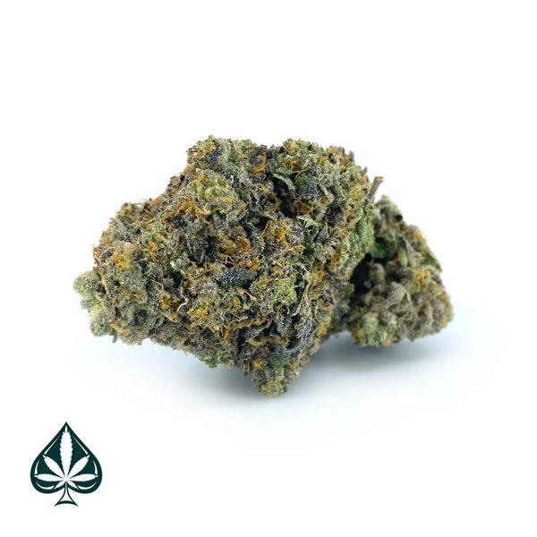 Mike-Tyson-Craft-By-Gas-Demon—Indica-(AAAA)-