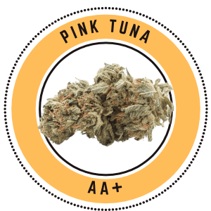 Pink Tuna - Indica Dominate Hybrid