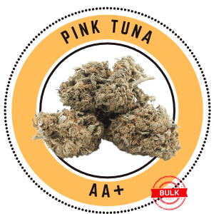 Pink Tuna - Indica Dominate Hybrid bulk