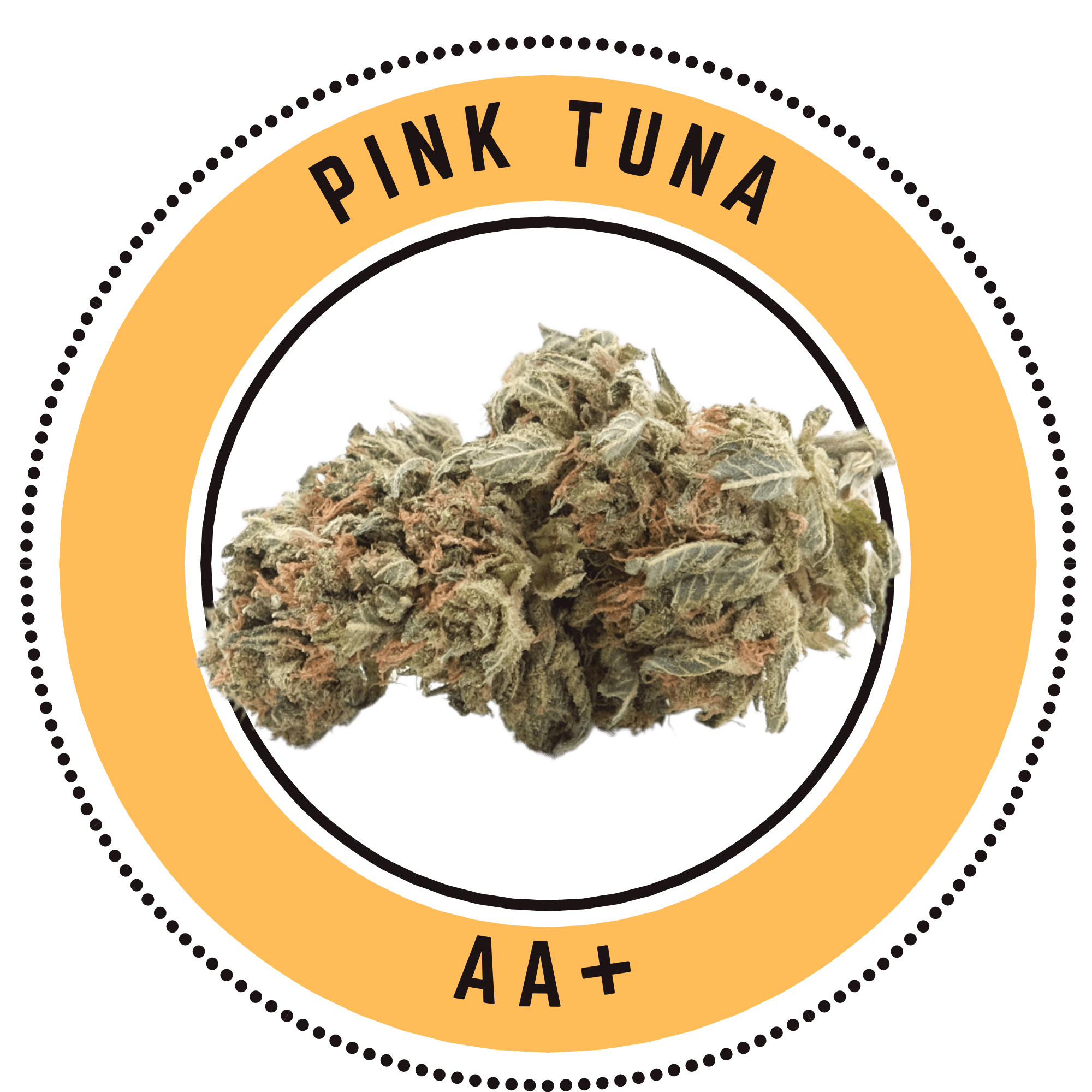 Pink Tuna - Indica Dominate Hybrid