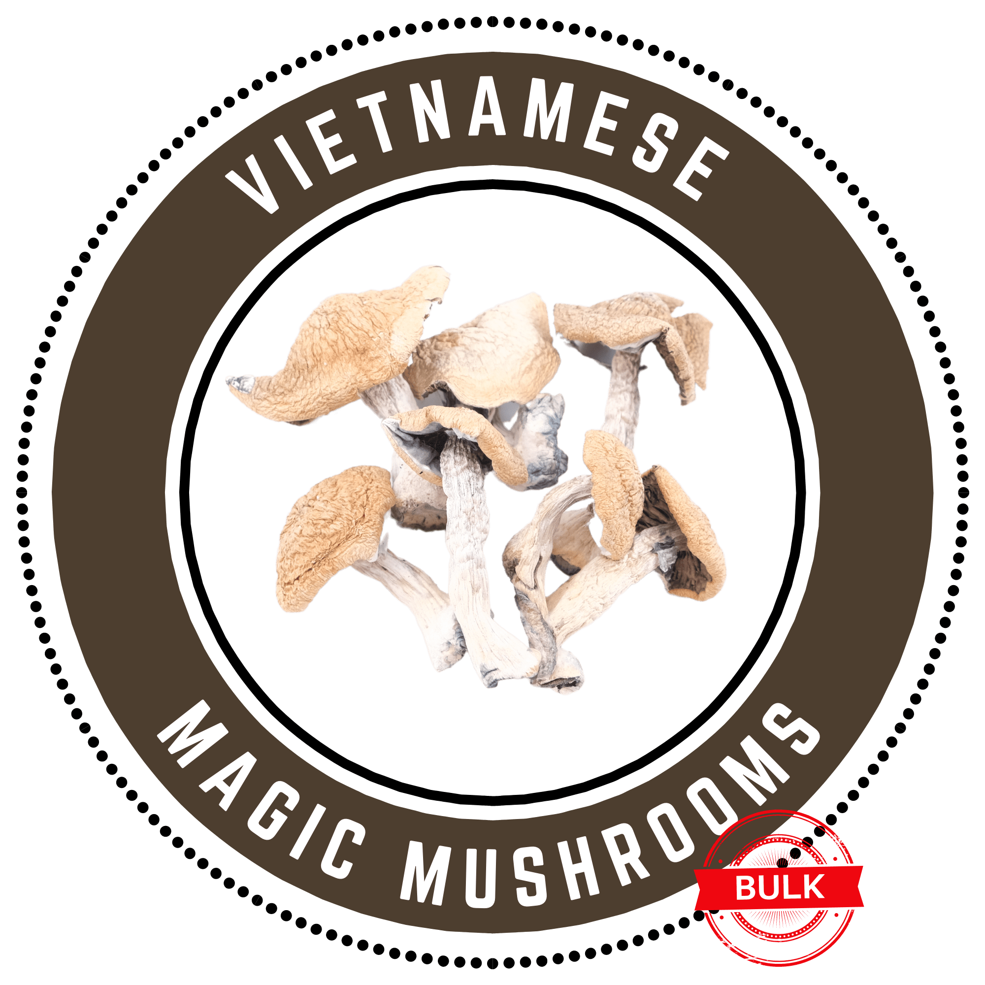 Vietnamese bulk2