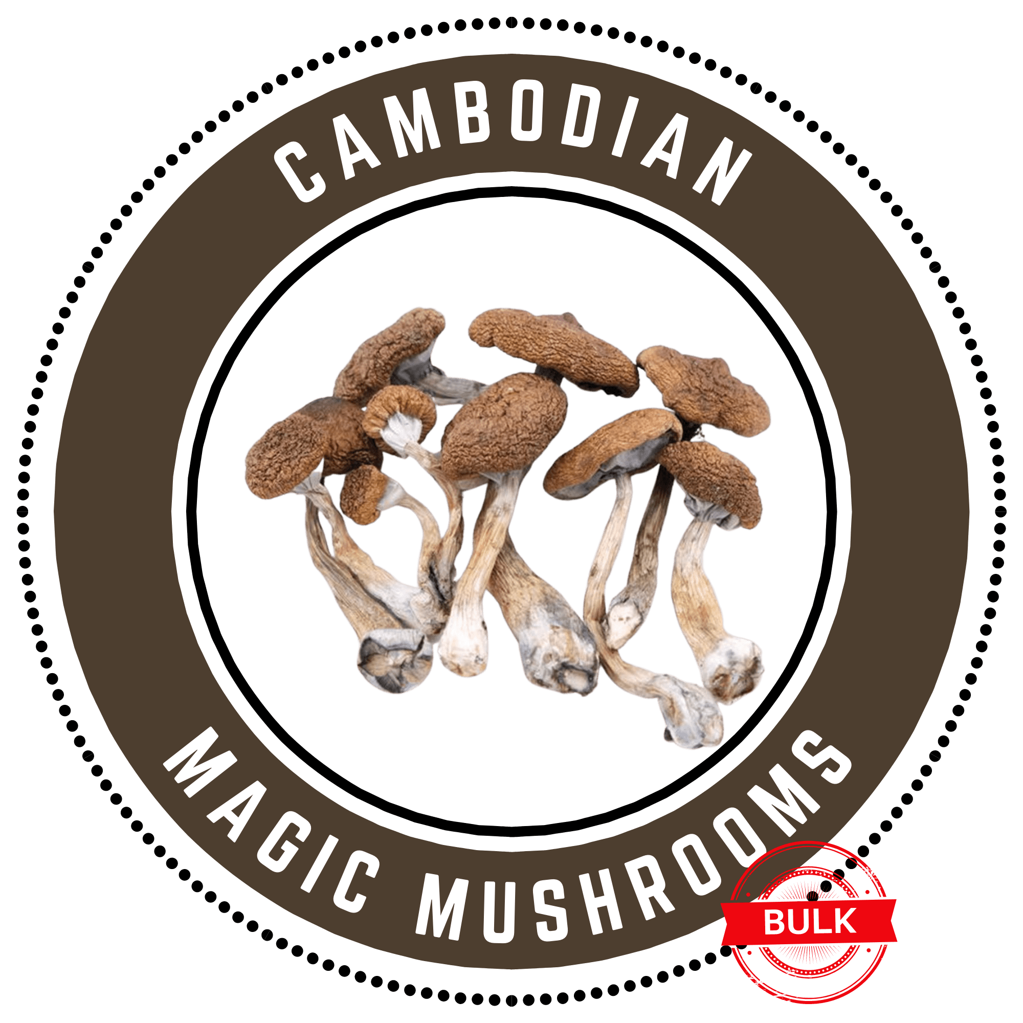 Buy Bulk Magic Mushrooms Online in Canada