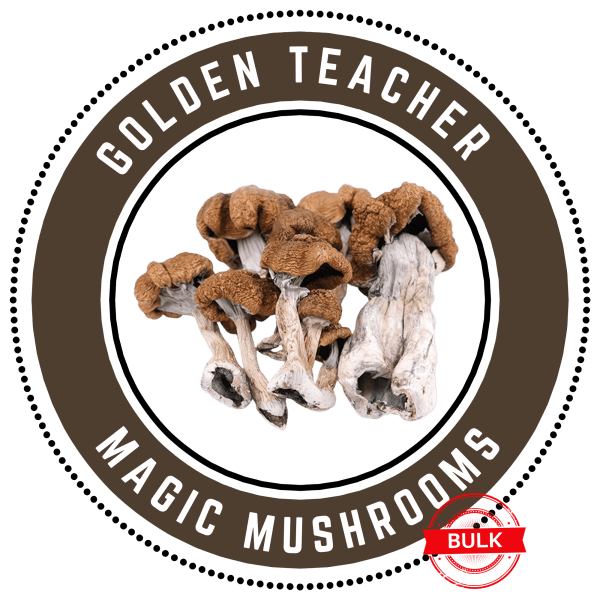 golden teach bulk