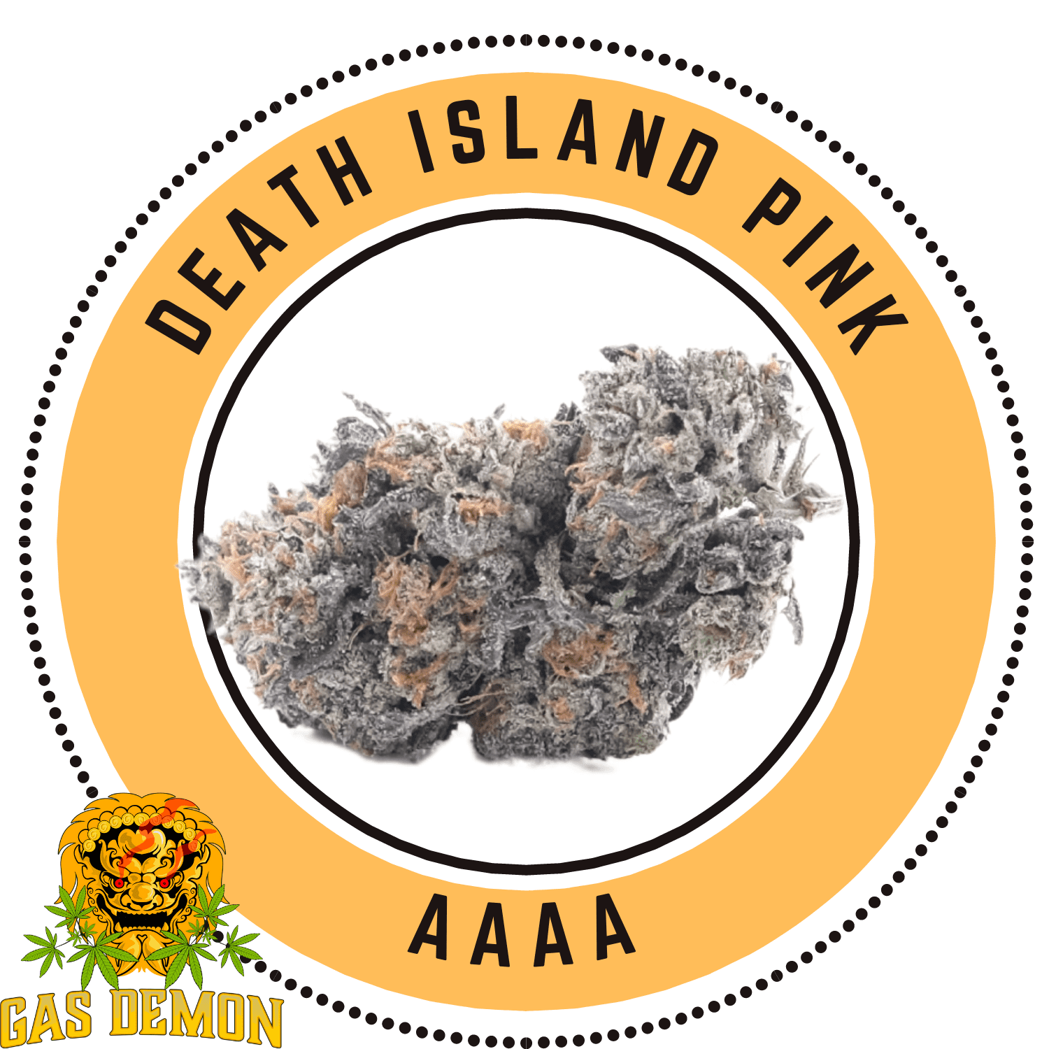 death island pink gd bulk 2