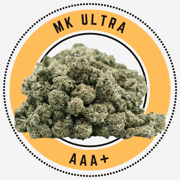 mk ultra