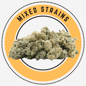 mixed strains