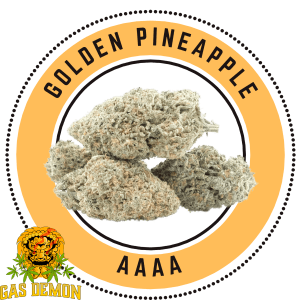 goldenpineapple gd