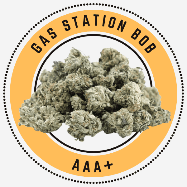 Gas Station Bob
