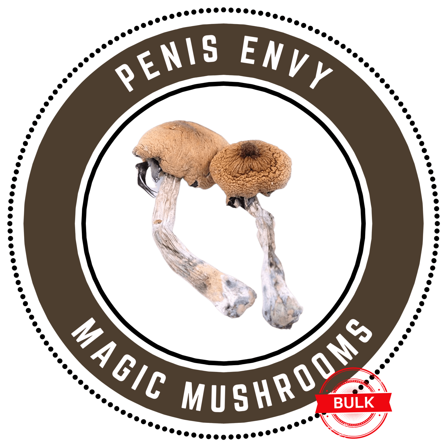 Buy Penis Envy Magic Mushrooms Bulk The Green Ace