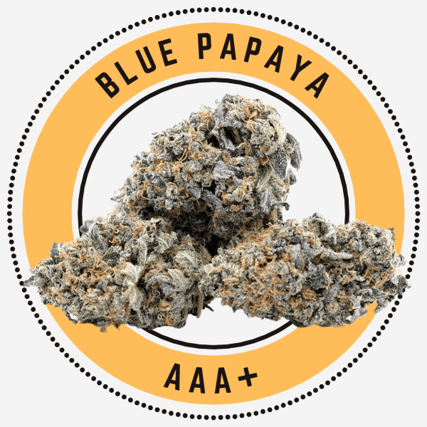 blue papaya