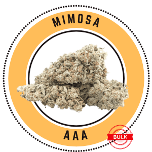 mimosa bulk 1