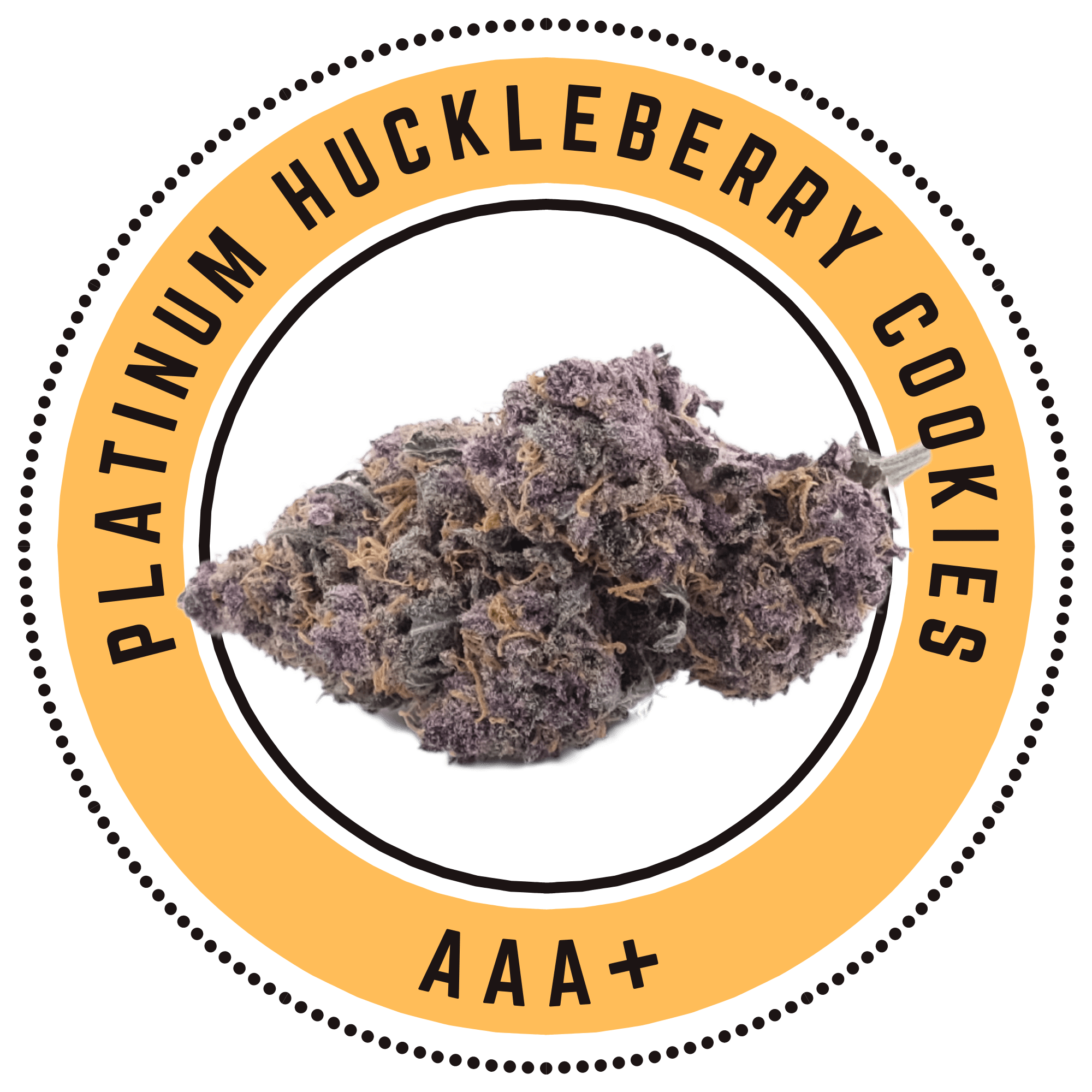 Platinum Huckleberry Cookies – Indica Dominant Hybrid