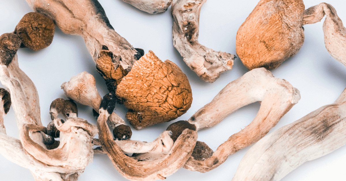 What Are the Differences Between Weed and Shrooms? 
