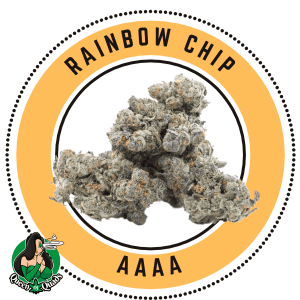 Rainbow Chip By Queen of Quads