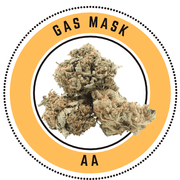 Gas Mask - Indica Dominant Hybrid
