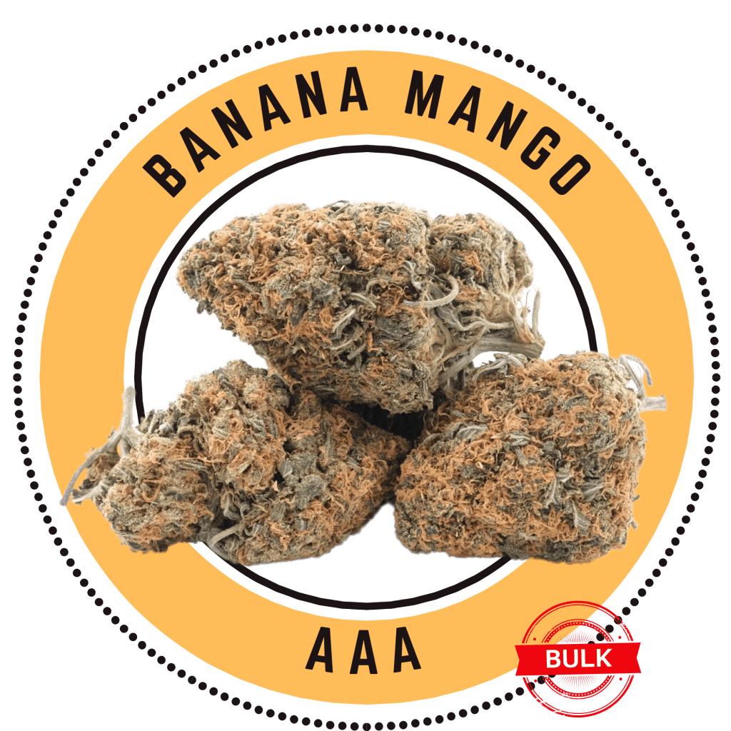 buy-banana-mango-sativa-hybrid-dominant-bulk-online-in-canada-the