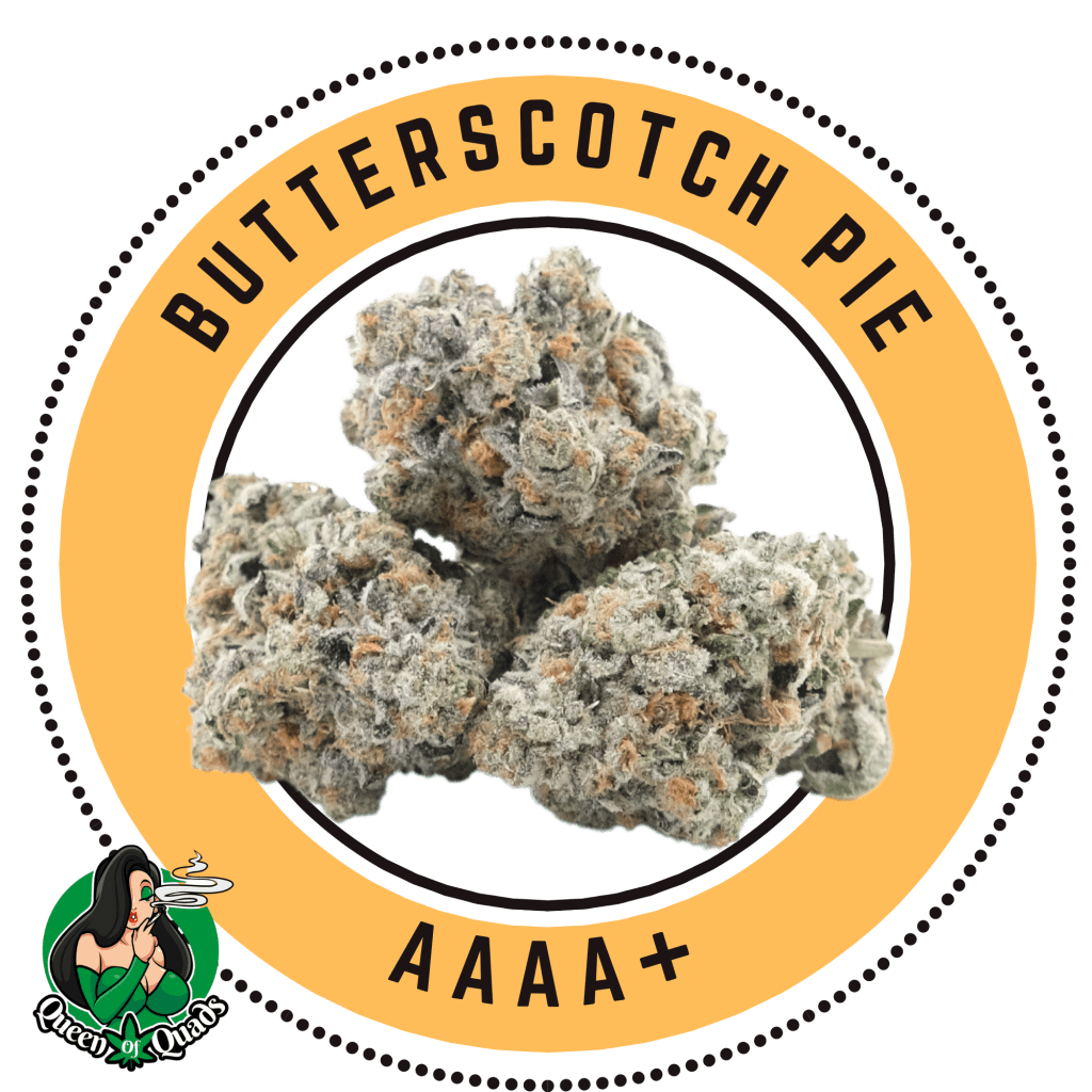 Buy Butterscotch Pie - Indica Dominant Hybrid - By Queen of Quads