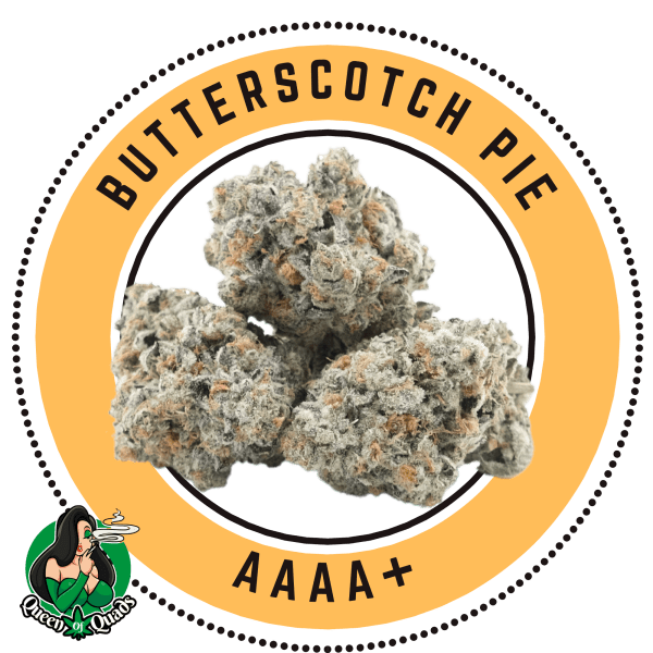 Butterscotch Pie - Indica Dominant Hybrid - By Queen of Quads