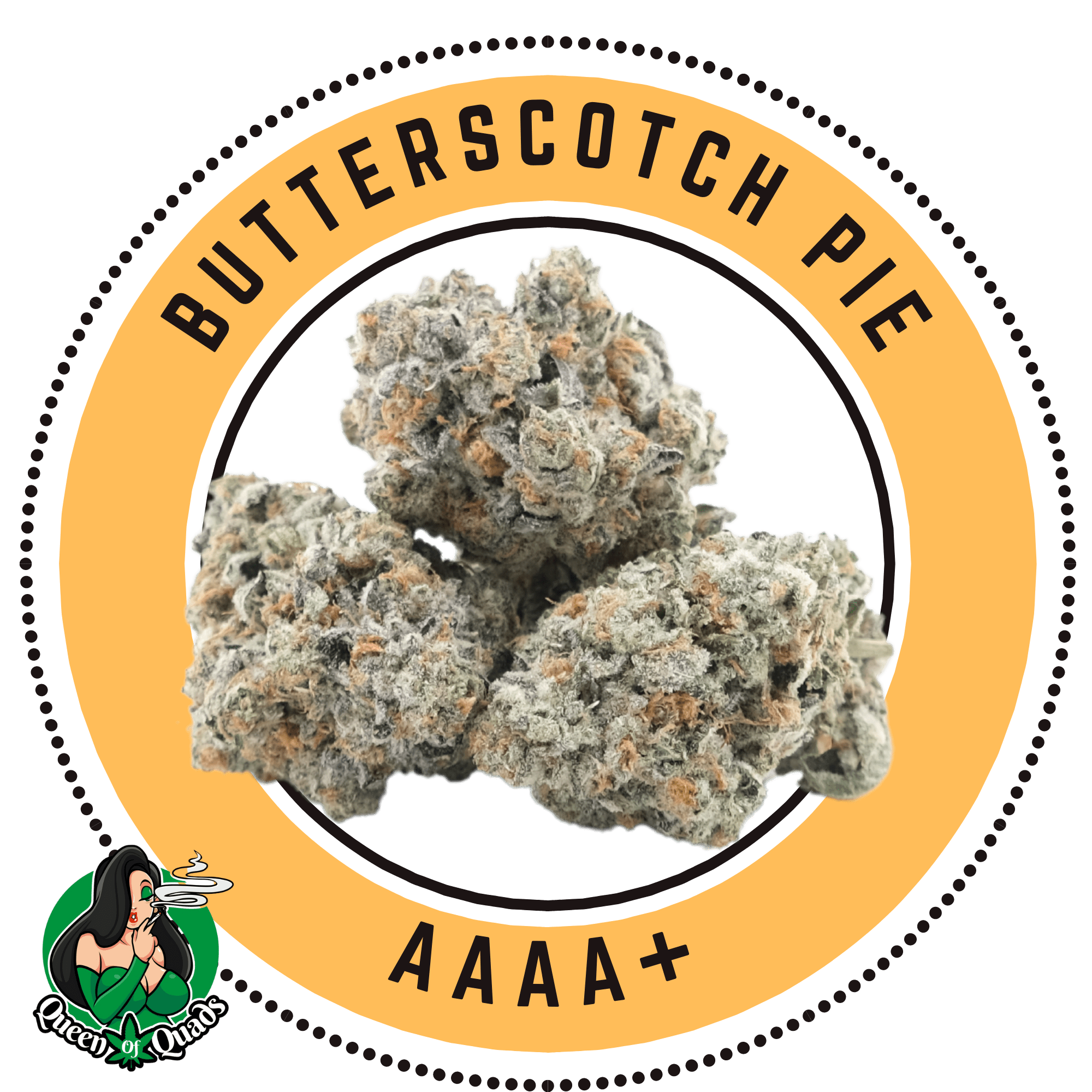 Butterscotch Pie - Indica Dominant Hybrid - By Queen of Quads