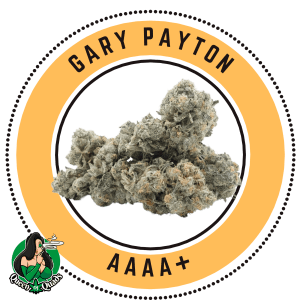 Gary Payton - Hybrid - By Queen of Quads