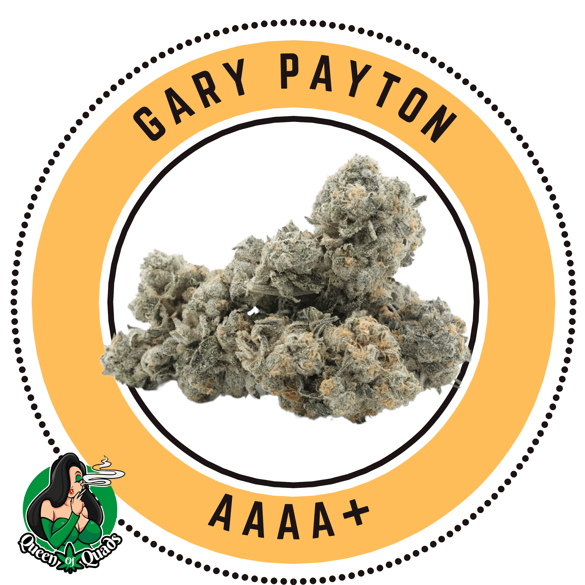 Gary Payton – Hybrid – By Queen of Quads