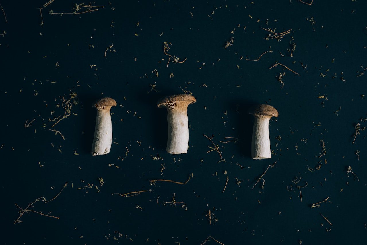 How To Make Mushroom Capsules?