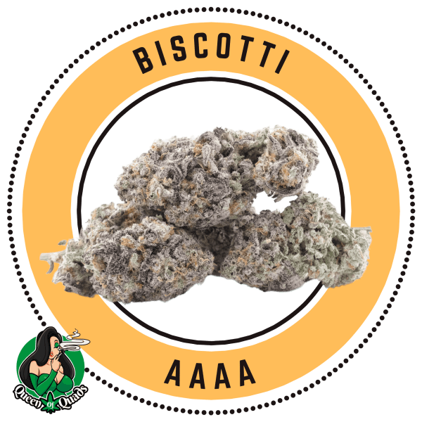 Biscotti - By Queen Of Quads