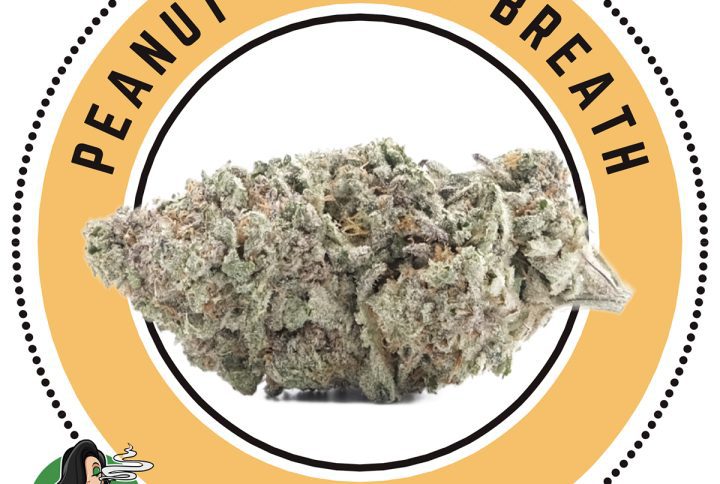 Peanut Butter Breath Hybrid – By Queen Of Quads