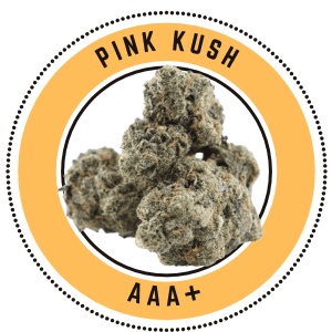 Pink Kush - Prerolls