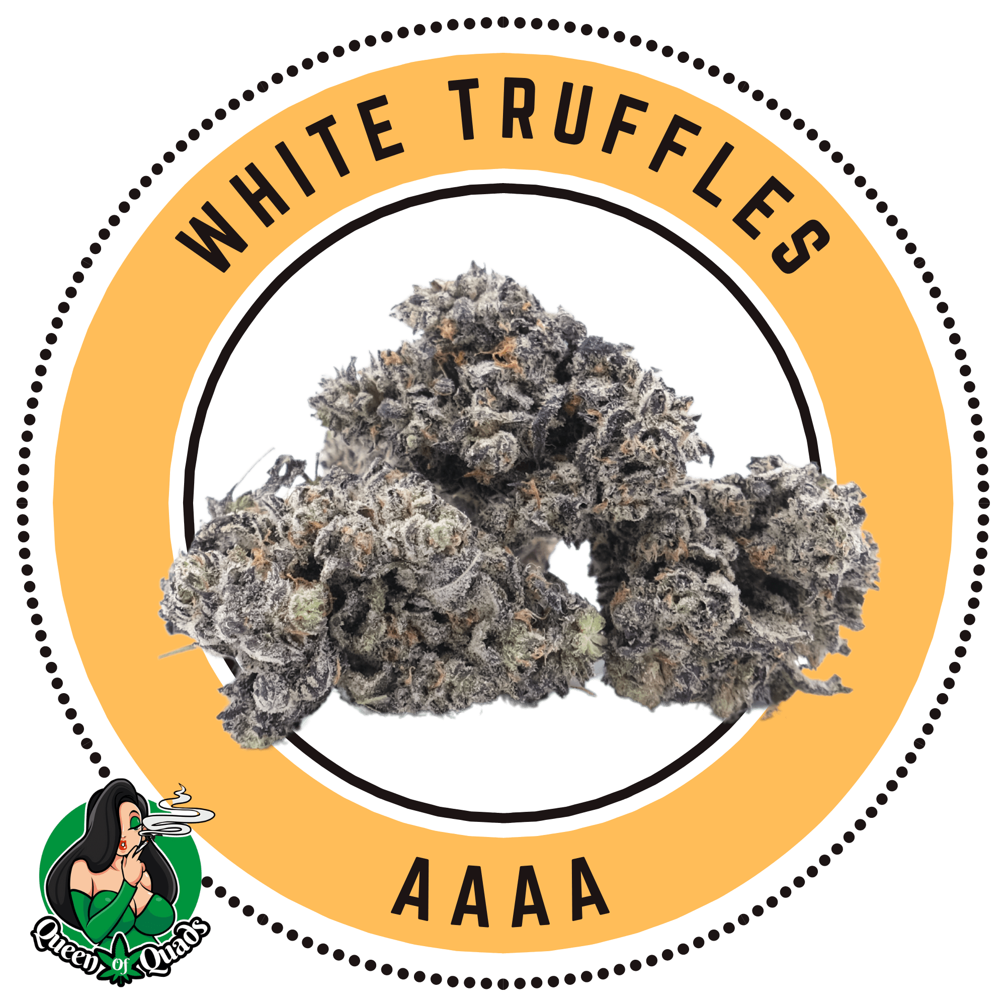 White Truffle – Indica Dominant – By Queen of Quads