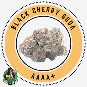 Black Cherry Soda Sativa Dominant Queen of Quads 1