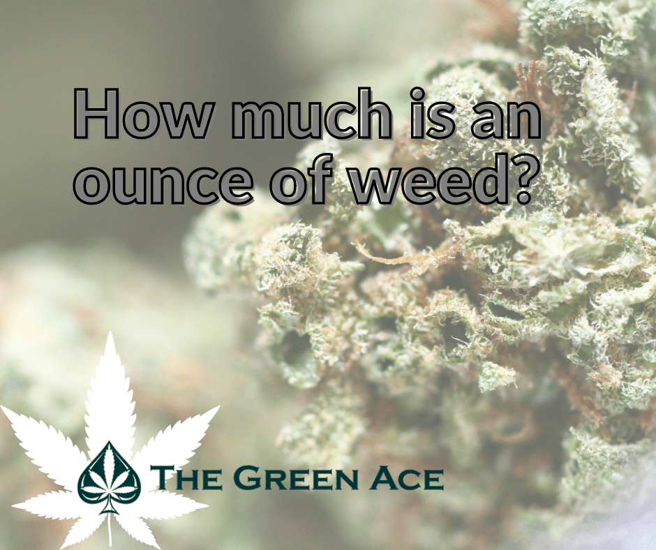 How Much Is an Ounce of Weed? Grams, Price, Measurements, Appearance, & More!