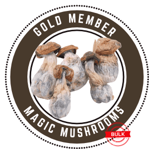 Gold Members Magic Mushroom - Bulk