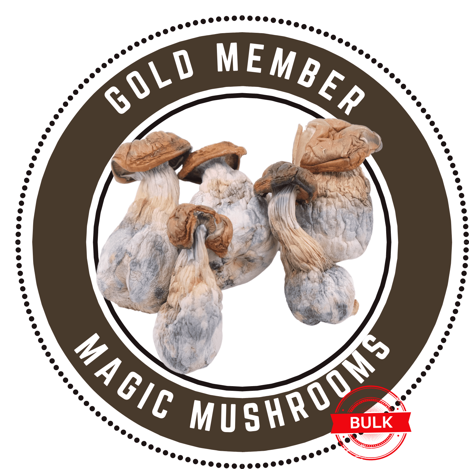 Gold Members Magic Mushroom – Bulk