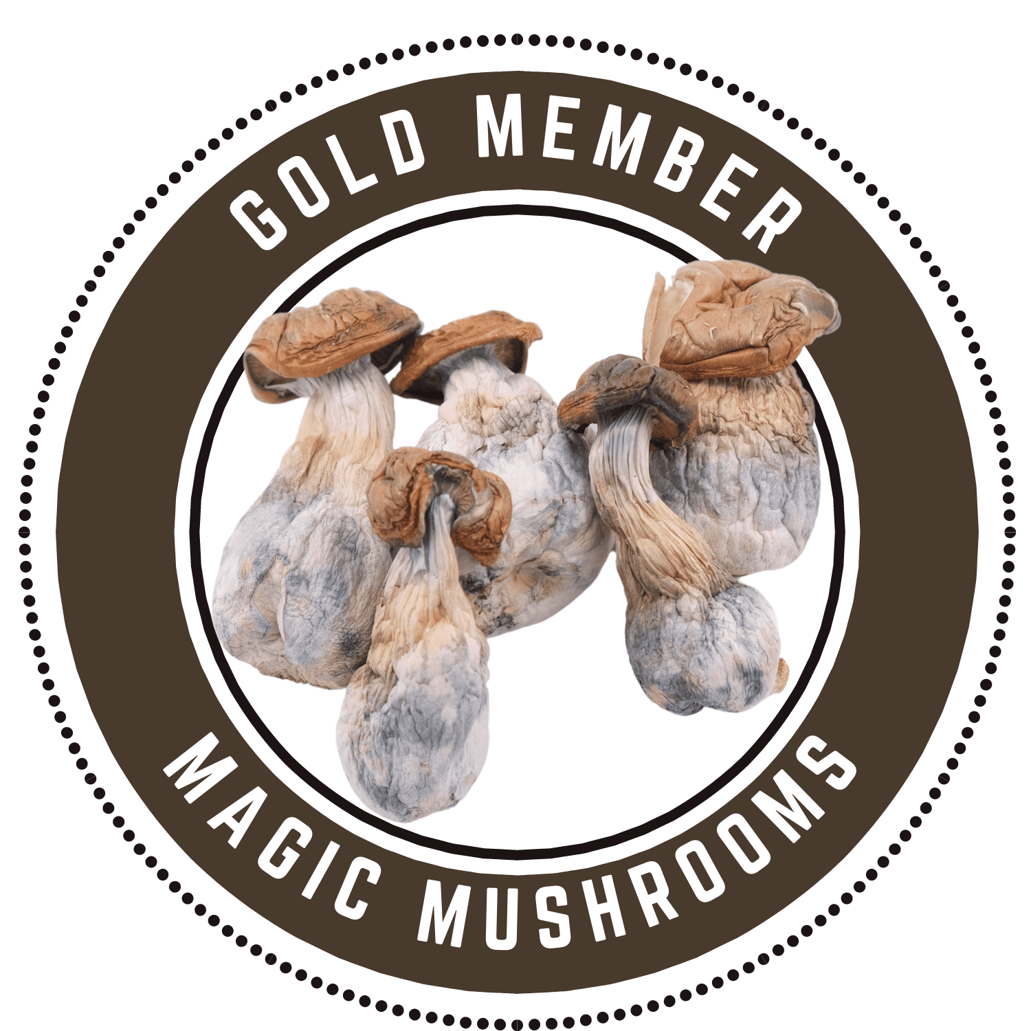 Gold Members Magic Mushroom